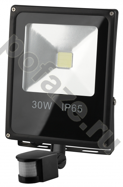 Прожектор ЭРА LPR 30Вт 170-260В 6500К IP65
