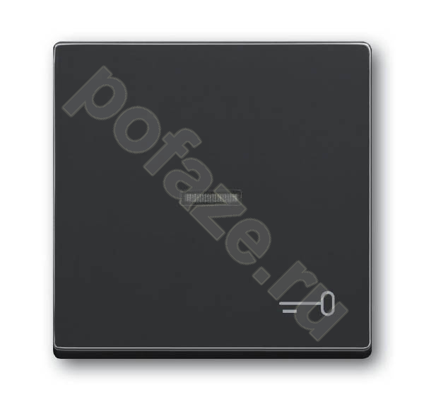 Клавиша ABB Solo/Future, символ ключ/дверь, графит IP20