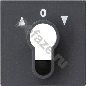 Ключ Gira System 55, символ стрелки, антрацит IP20