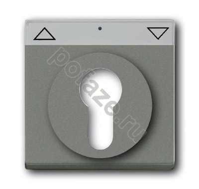 Ключ ABB Solo/Future, символ стрелки, серый IP20