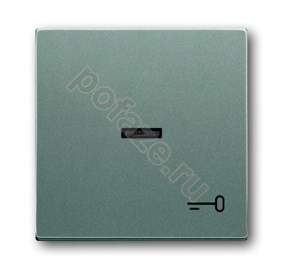 Клавиша ABB Solo/Future, символ ключ/дверь, серый IP20