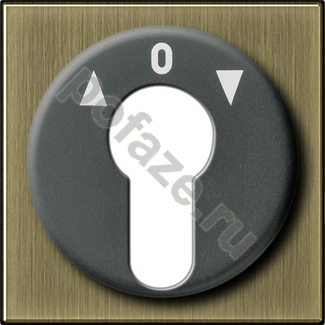 Ключ Gira ClassiX, символ стрелки, бронза IP20
