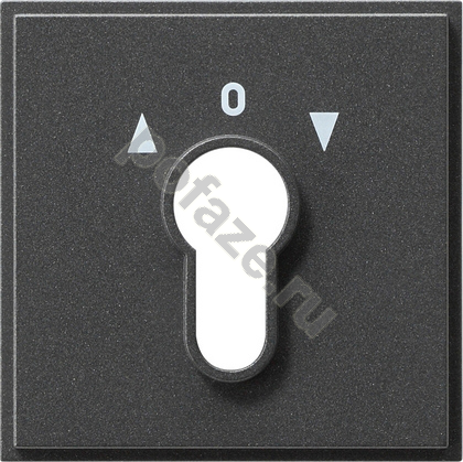 Ключ Gira TX-44, символ стрелки, антрацит IP44