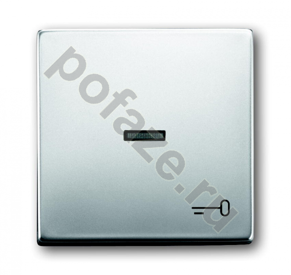 Клавиша ABB Pure, символ ключ/дверь, нержавеющая сталь IP20