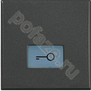 Bticino Axolute, символ ключ/дверь, антрацит IP20