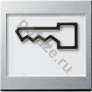 Клавиша Gira System 55, символ ключ/дверь, алюминий IP20