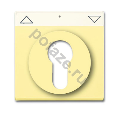 Ключ ABB Solo/Future, символ стрелки, желтый IP20