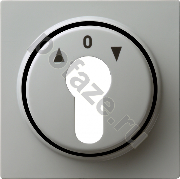 Ключ Gira S-Color, символ стрелки, серый IP20