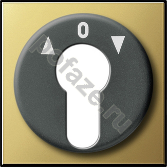 Ключ Gira ClassiX, символ стрелки, латунь IP20