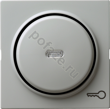 Gira S-Color, символ ключ/дверь, серый IP20