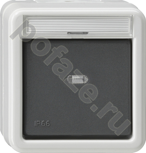 Выключатель Gira 1кл 10А, серый IP66