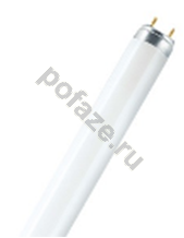 Лампа люминесцентная линейная Osram G13 58Вт 6500К