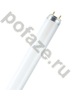 Osram G13 18Вт