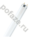 Osram G13 18Вт 6500К