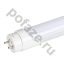 Arlight d26мм G13 10Вт 230В 6000К