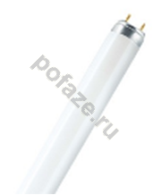 Лампа люминесцентная линейная Osram G13 36Вт