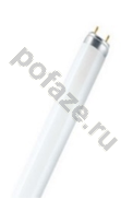 Osram G13 18Вт