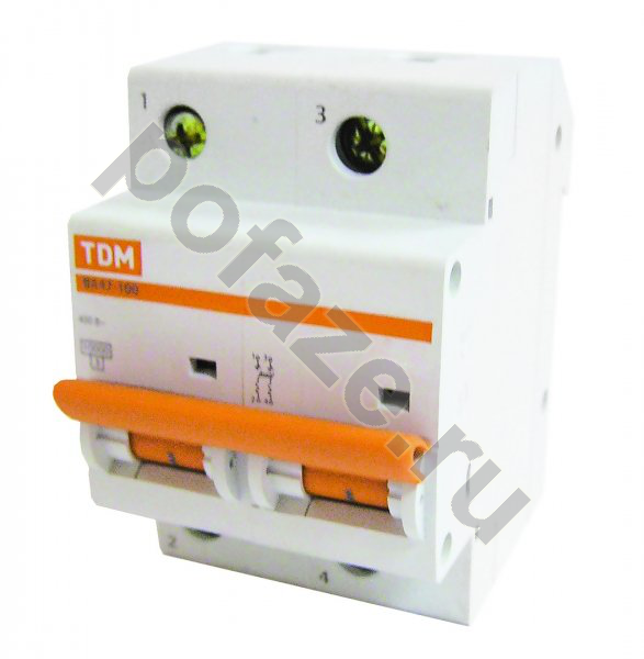 Автоматический выключатель TDM ELECTRIC ВА47-100 2П 100А (C) 10кА