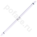 Ecola d26мм G13 10Вт 220-230В 6500К
