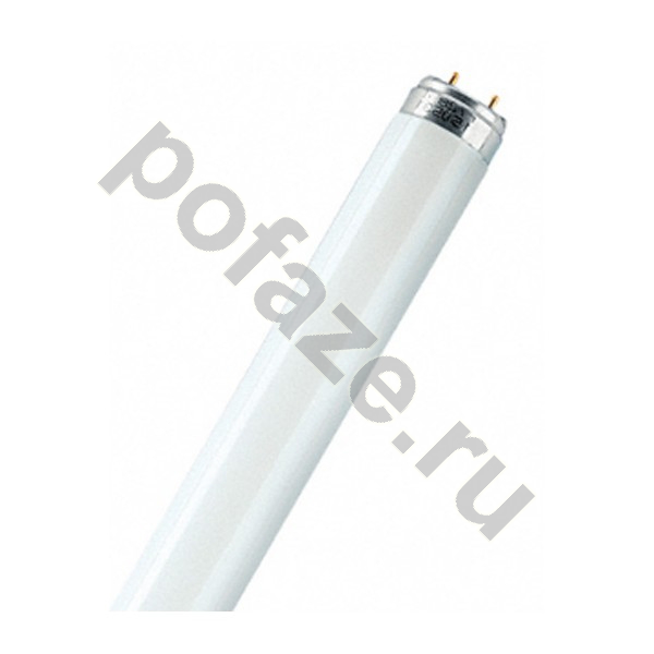 Osram G13 30Вт 6500К