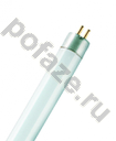 Osram G13 36Вт 6500К