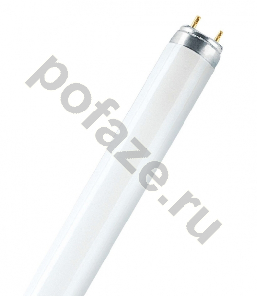 Osram G13 58Вт