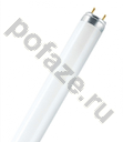 Osram G13 36Вт