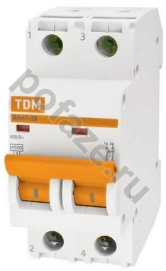 Автоматический выключатель TDM ELECTRIC ВА47-29 2П 63А (C) 4.5кА