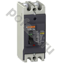Schneider Electric EasyPact EZC 100H 2П 100А 30кА (IP20)