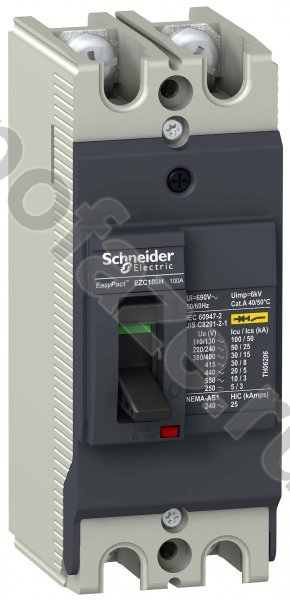 Автоматический выключатель стационарный Schneider Electric EasyPact EZC 100H 2П 100А 30кА (IP20)