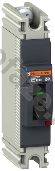 Автоматический выключатель стационарный Schneider Electric EasyPact EZC 100H 1П 100А 5кА (IP20)