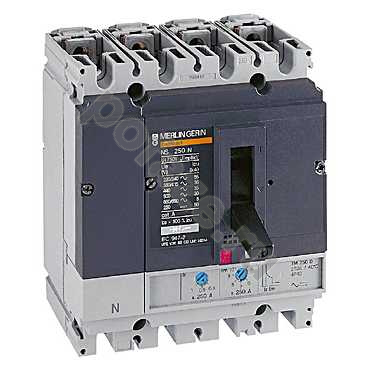 Автоматический выключатель стационарный Schneider Electric Compact NS250N 4П 125А 36кА (IP40)