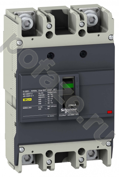 Автоматический выключатель стационарный Schneider Electric EasyPact EZC 250 2П 250А 36кА (IP20)