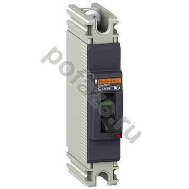 Автоматический выключатель стационарный Schneider Electric EasyPact EZC 100N 1П 100А 2.5кА (IP20)