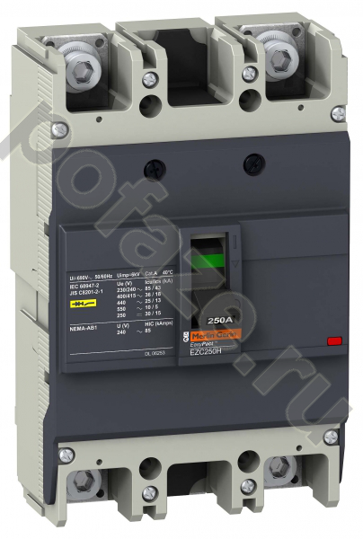 Автоматический выключатель стационарный Schneider Electric EasyPact EZC 250H 2П 250А 36кА (IP20)